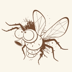 MOSQUITO1.jpg